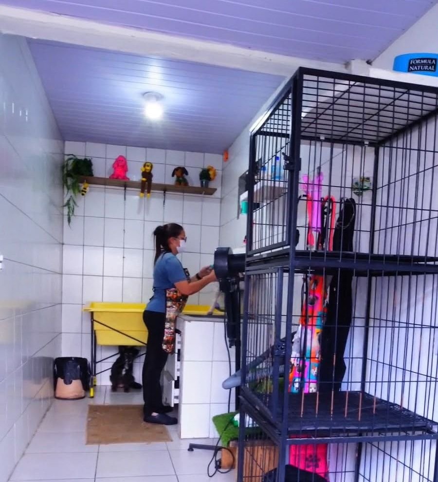 Integrante da equipe secando um cão na sala de banho da Le Canis