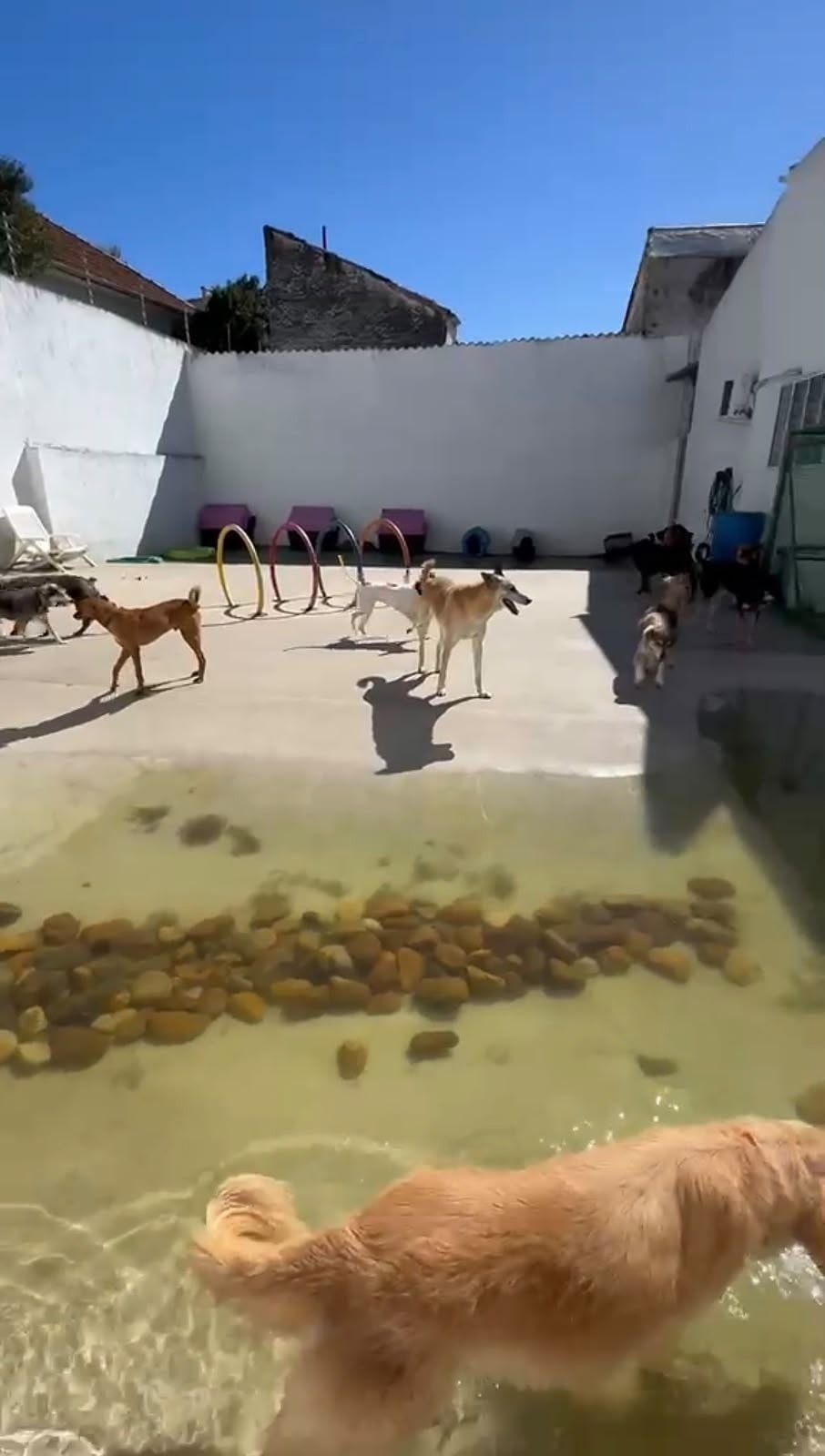 O lago da Le Canis