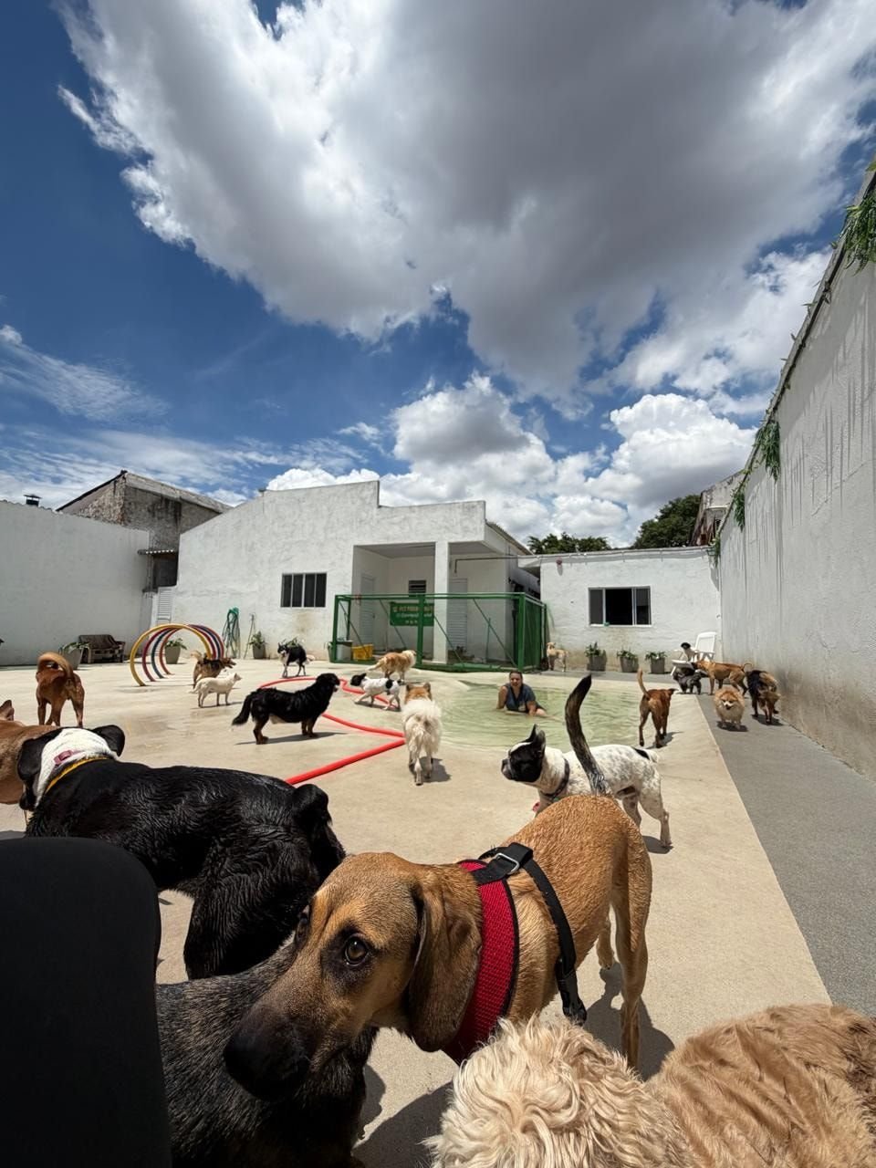 Pátio de convivência da Le Canis