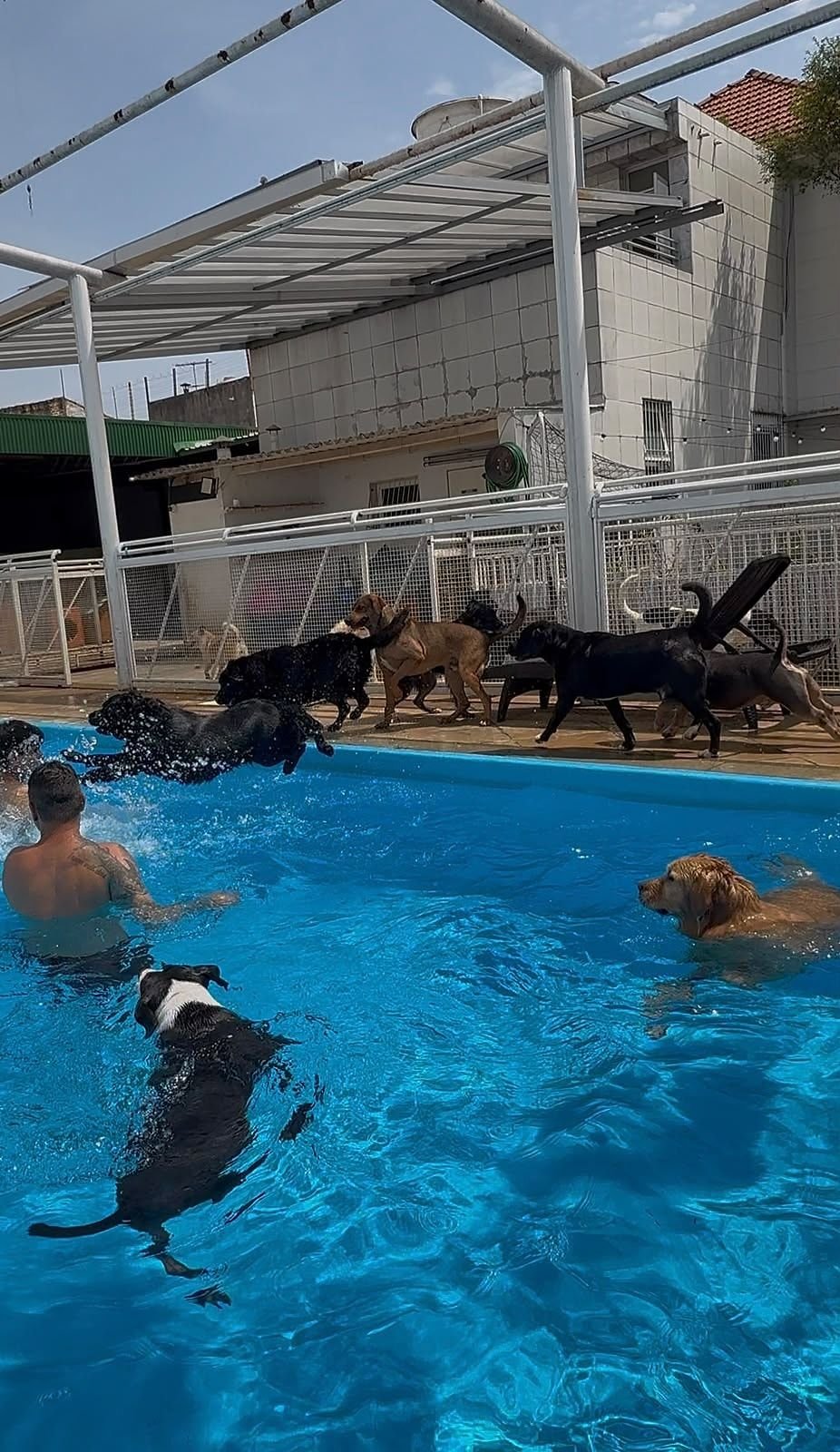 Piscina da Le Canis